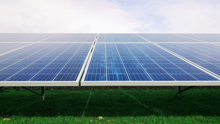 Trine investera i solenergi